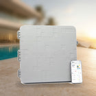 The Attendant Pool Automation System with 2 High Voltage Relays